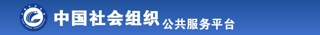 啊色插操插全国社会组织信息查询